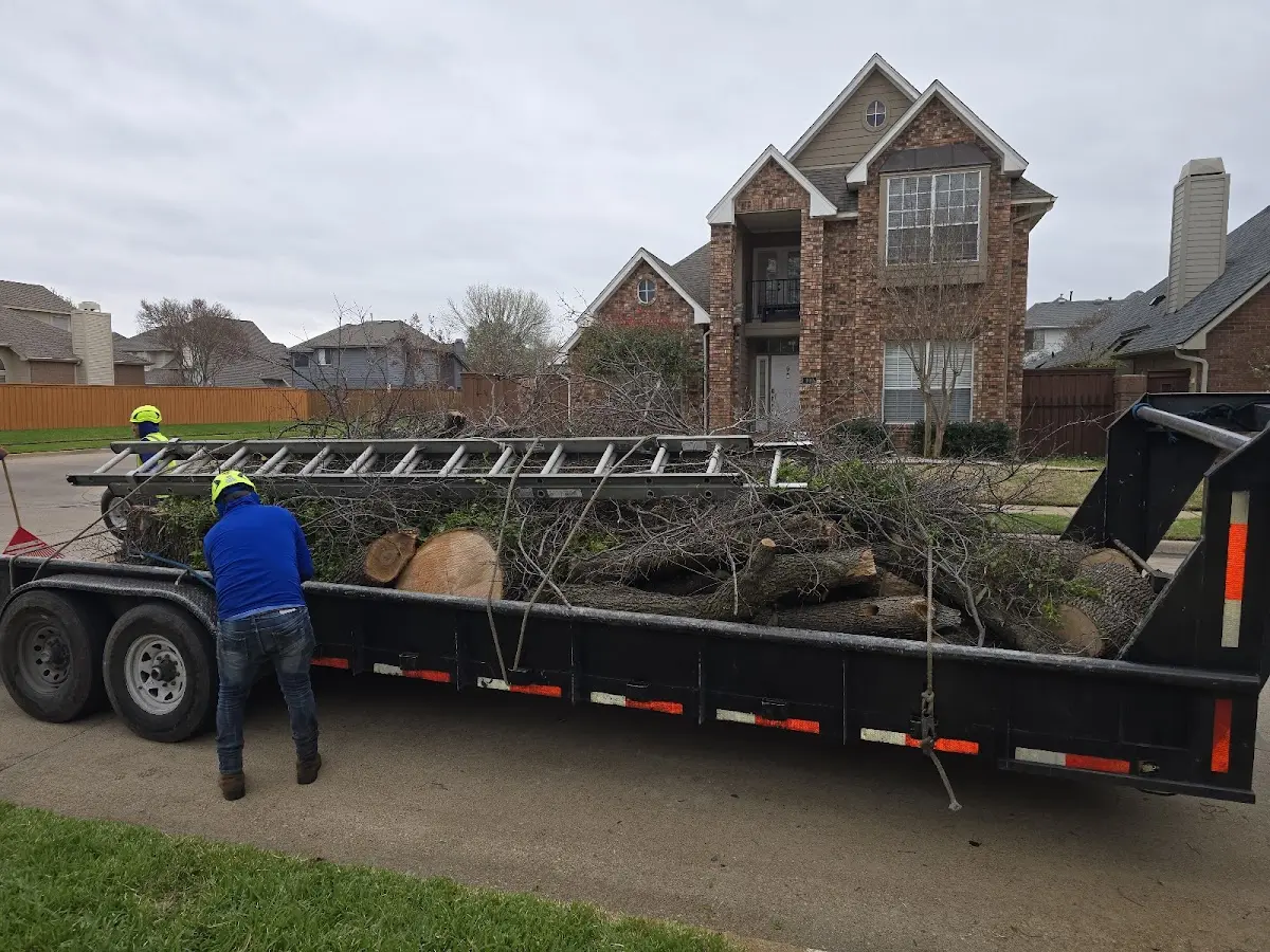 Expert Tree Fertilization with proper safety equipment in Horicon